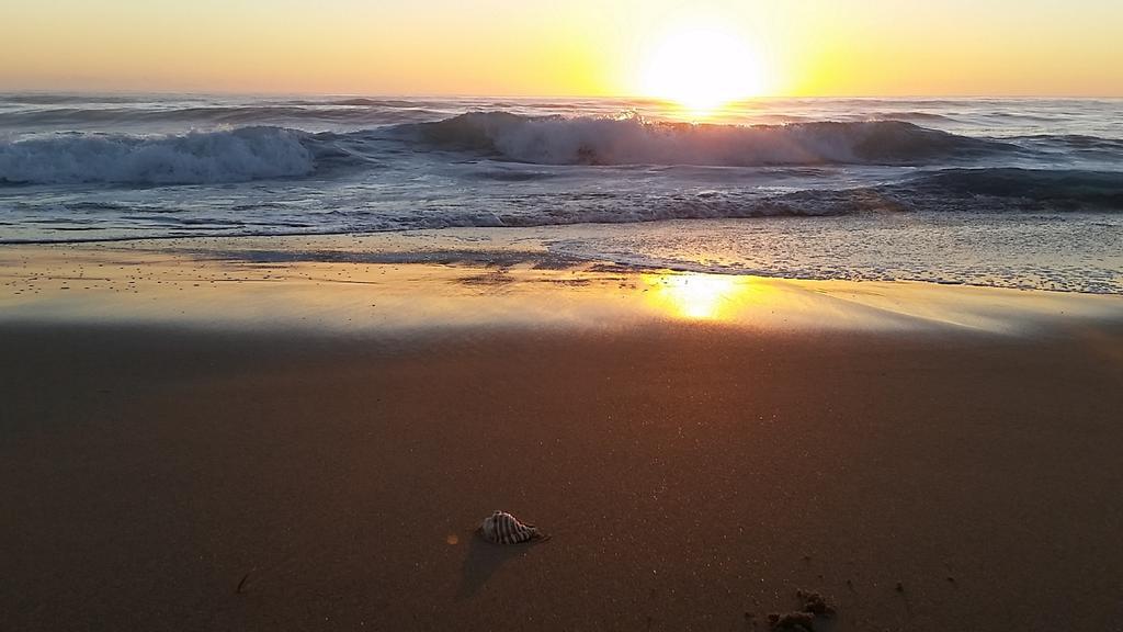 Diamond Beach Resort, Mid North Coast Nsw Экстерьер фото